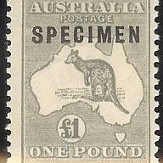 £1 grey ovpt SPECIMEN Type C. Centred slightly ...