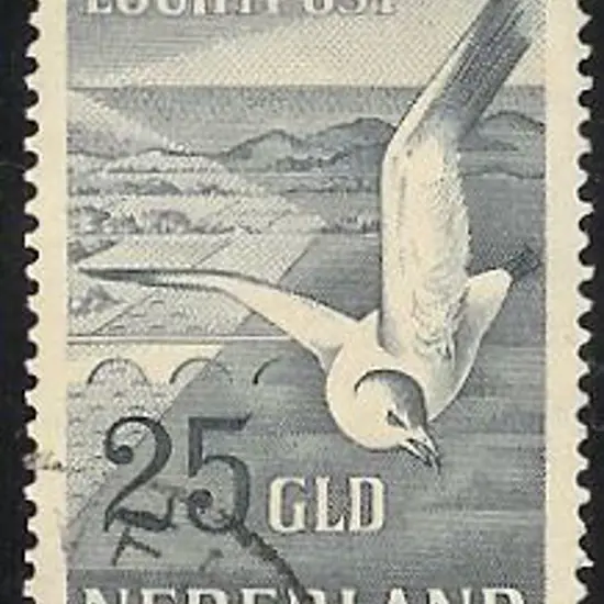 1951 25gld Seagull FU. SG 743 Cat. £120