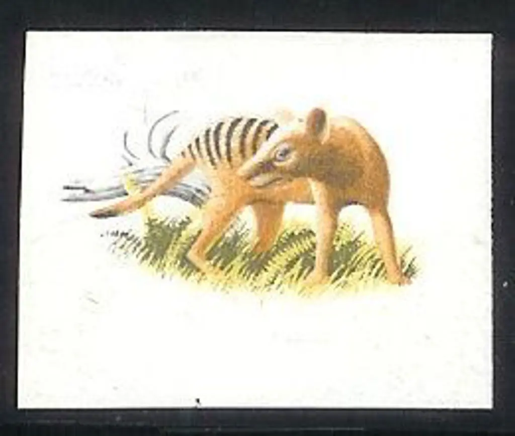 1981 24c Thylacine single plate proof with ... Image 1++