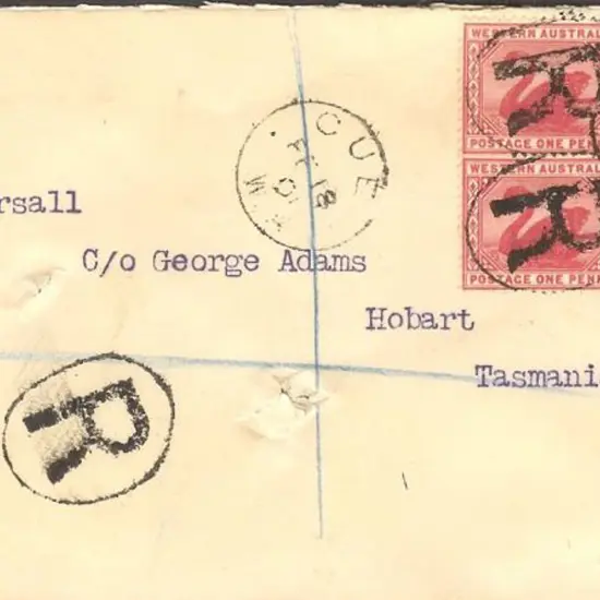 1901 (18th Feb) Tatts cover with 1d x 3 & 2d swans ...