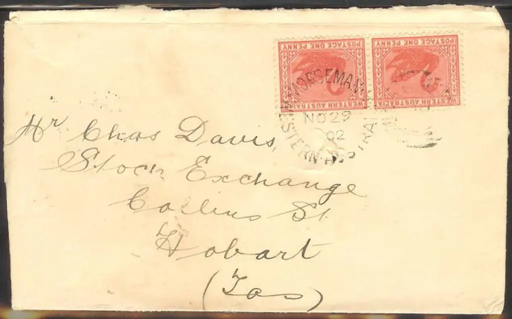 1902 (29th Nov) Norseman DXPO on pair of 1d swans ... Image 1++