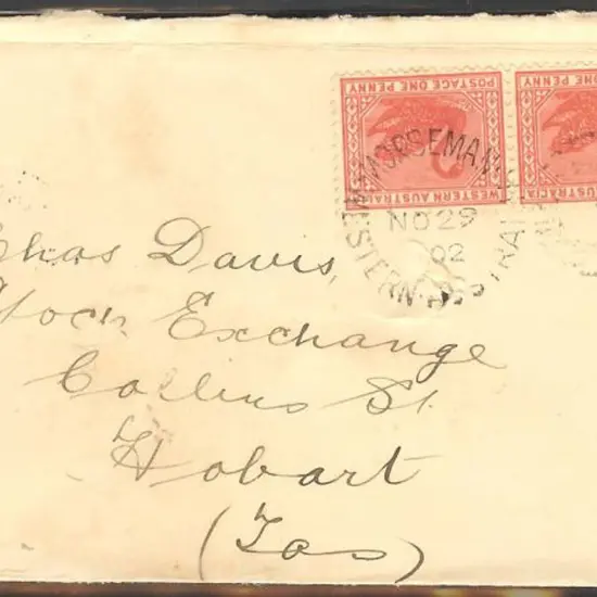 1902 (29th Nov) Norseman DXPO on pair of 1d swans ...