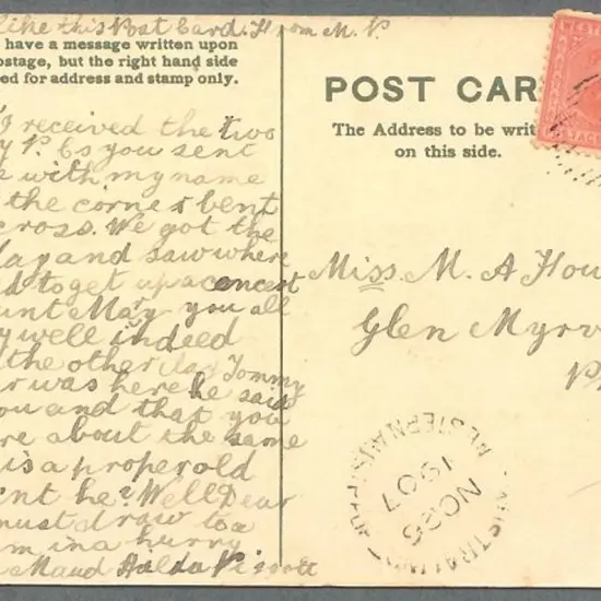 1907 (26th Nov) 1d carmine swan tied to ppc by 15 ...