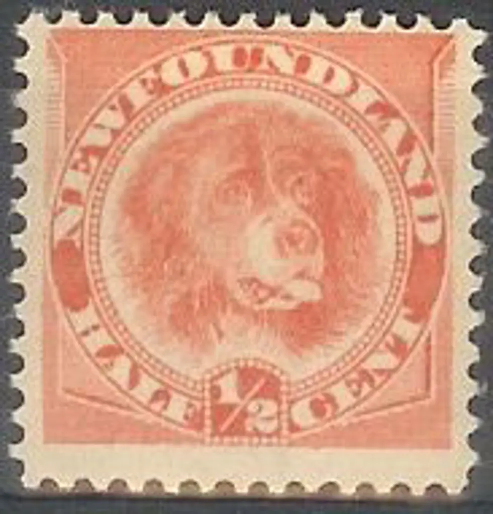 Canada – Newfoundland 1896/98 ½c orange-vermilion. ... Image 1++