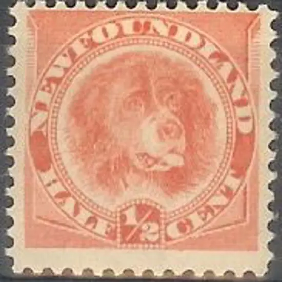 Canada – Newfoundland 1896/98 ½c orange-vermilion. ...