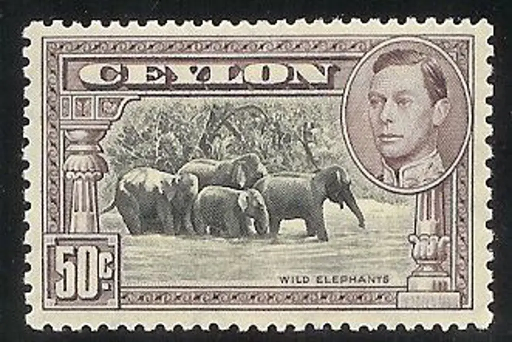 Ceylon 1938 50c black & mauve KGVI. Perf. 13 x 11½ ... Image 1++