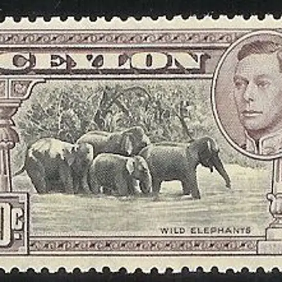 Ceylon 1938 50c black & mauve KGVI. Perf. 13 x 11½ ...