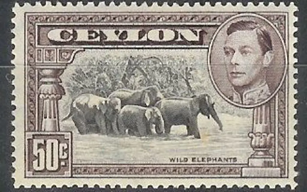 Ceylon 1942 50c black & mauve KGVI. Perf. 14 ... Image 1++