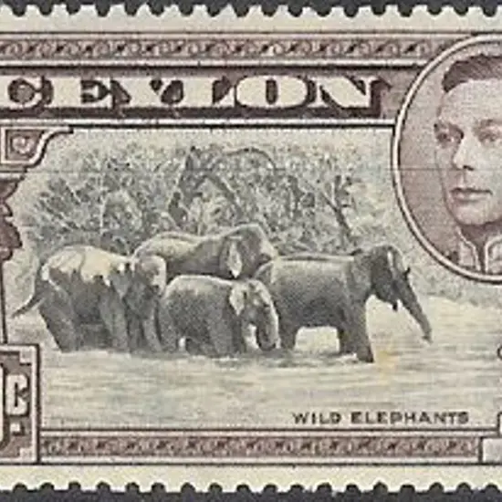 Ceylon 1942 50c black & mauve KGVI. Perf. 14 ...