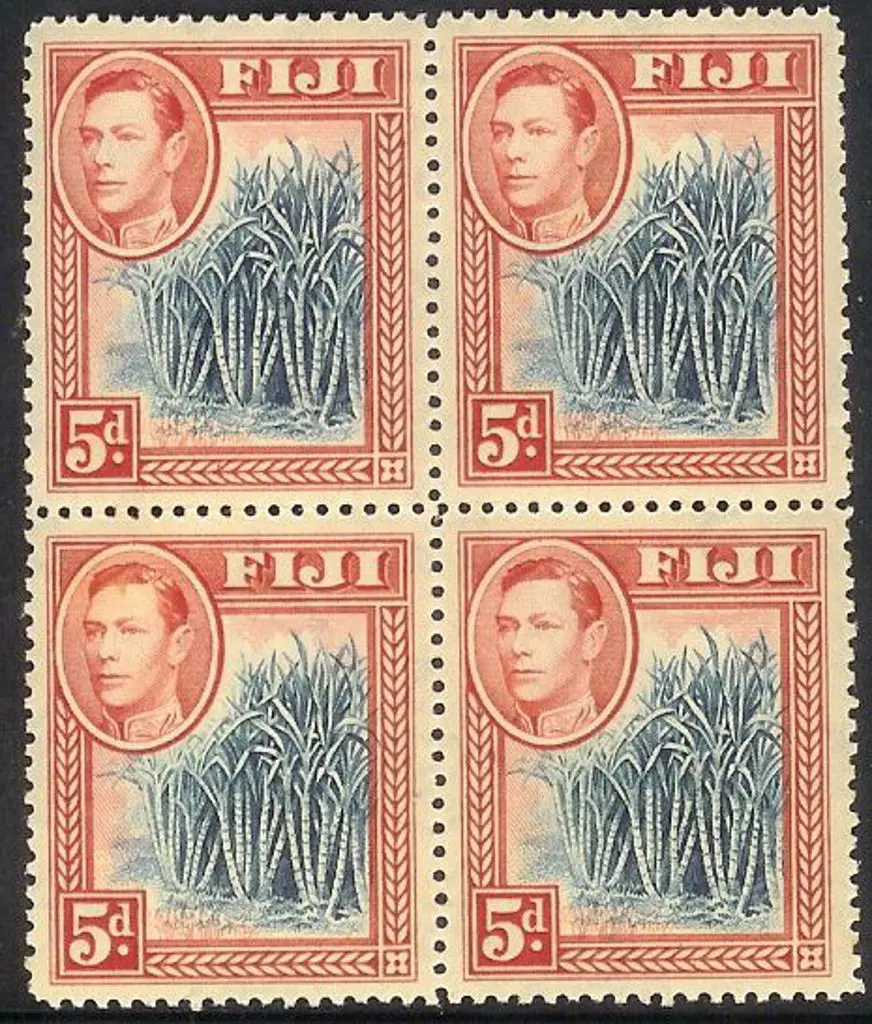 Fiji 1938/55 5d blue Canes. Well centred MUH block ... Image 1++